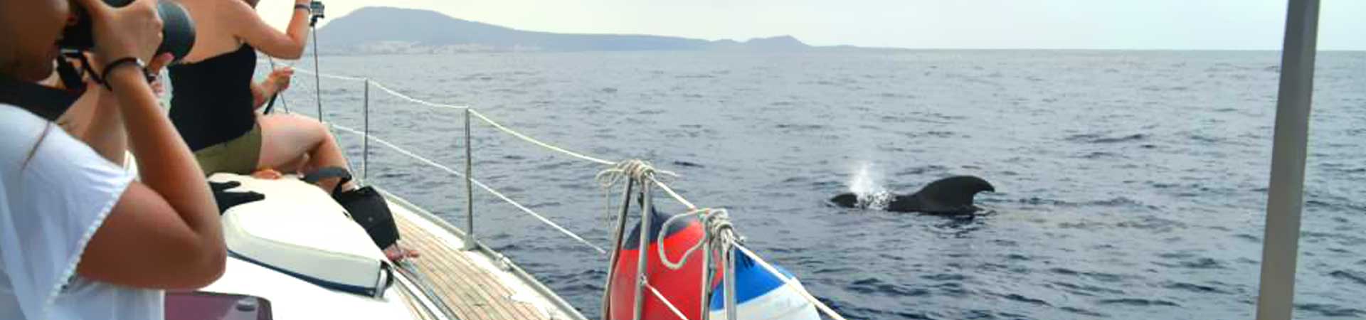 https://www.goodmorningtenerife.com/wp-content/uploads/2016/06/03_slide_arriro-1920x450-1.jpg